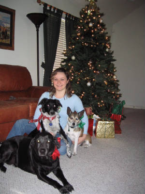 xmaspuppies.jpg