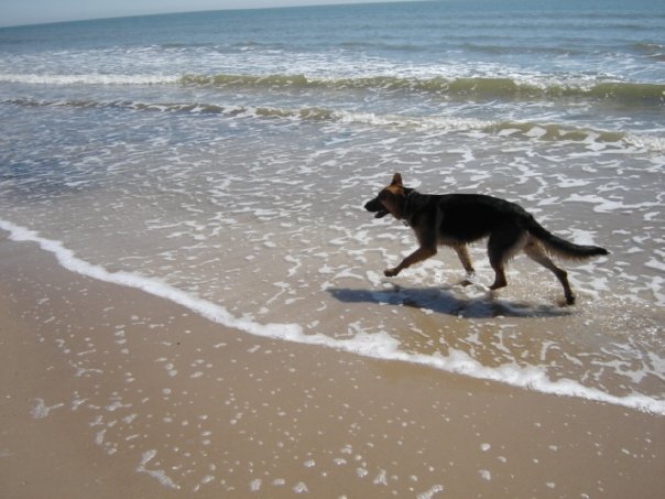 beachbum.jpg